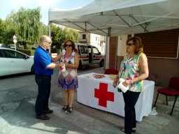 IMG_20170815_105448